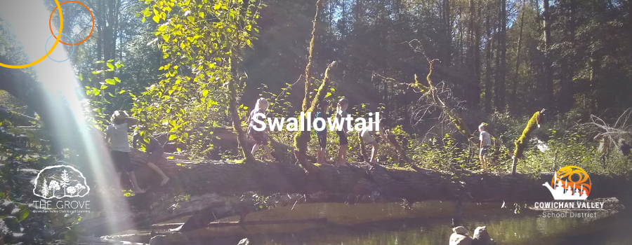 A group of students walking on a log. The word Swallowtail imposed over top
